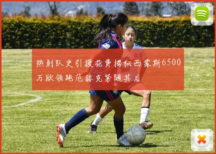 热刺队史引援花费揭秘西蒙斯6500万欧领跑范赫克紧随其后